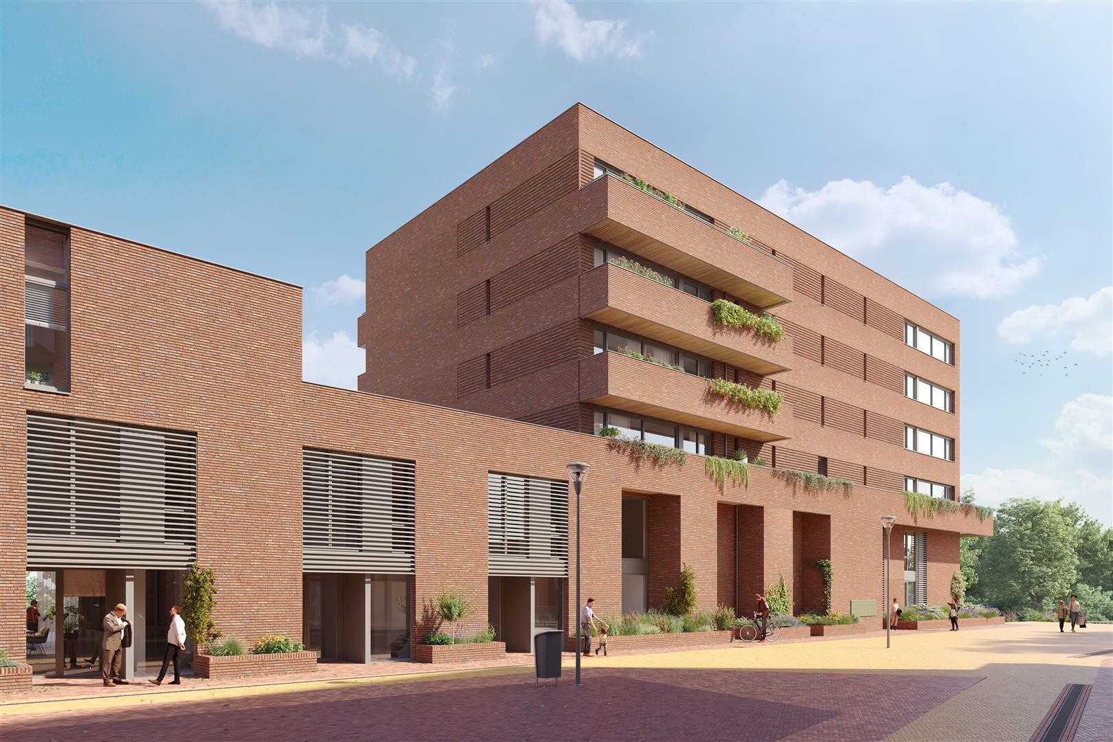 Meergras project  Meergras project