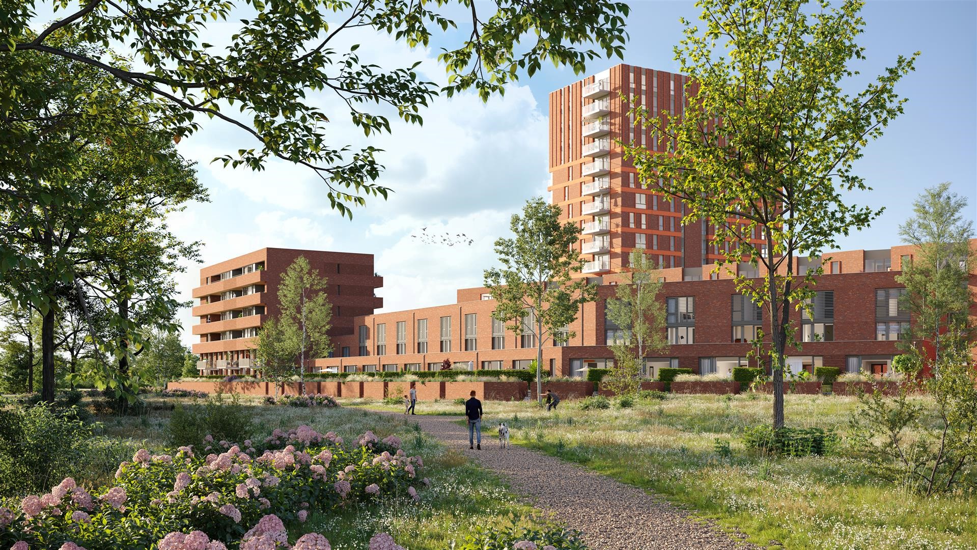 Meergras project Meergras project