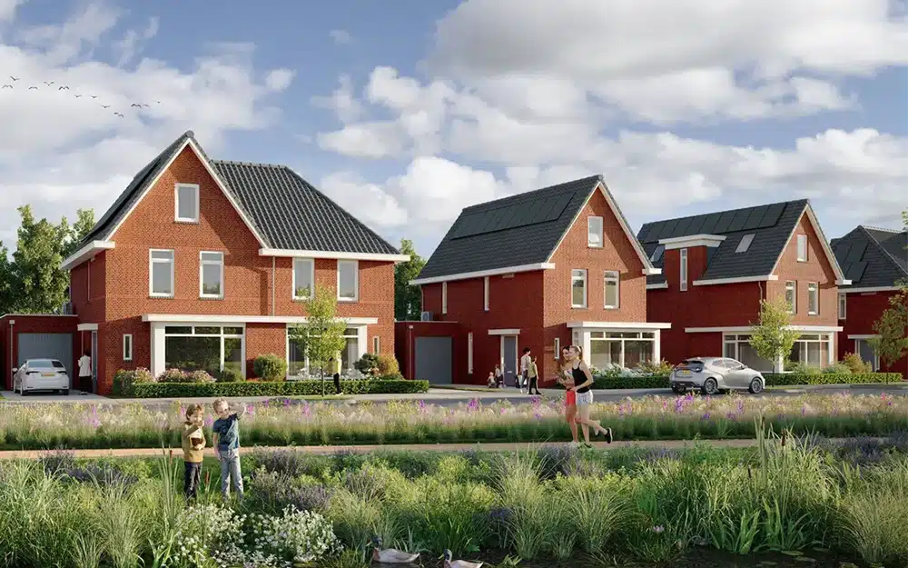 kraanvogel terneuzen