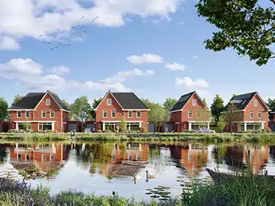 kraanvogel terneuzen